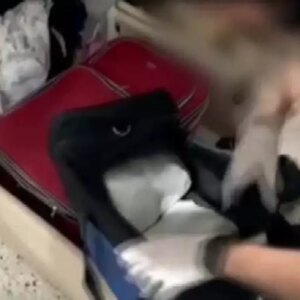 gaziantepte uyusturucu operasyonu 7 kilo skunk ele gecirildi nehr1Stk