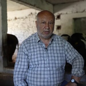 istanbuldan koye donus hayvancilikla yeni bir baslangic fN934agO