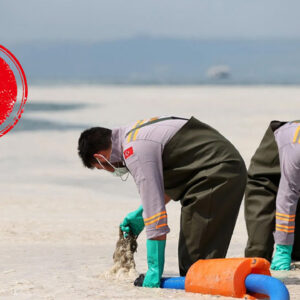 yuzlerce orkinos kiyiya vurdu altindan ne cikti TDbab3jh