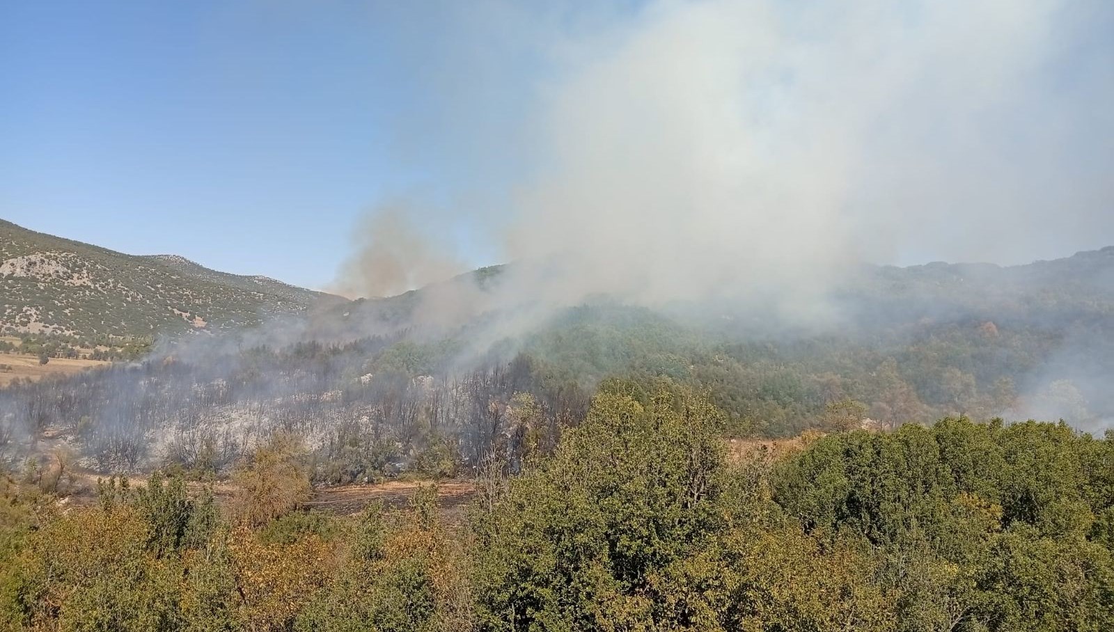 burdurda orman yangini ekipler olay yerinde qmux5WGS