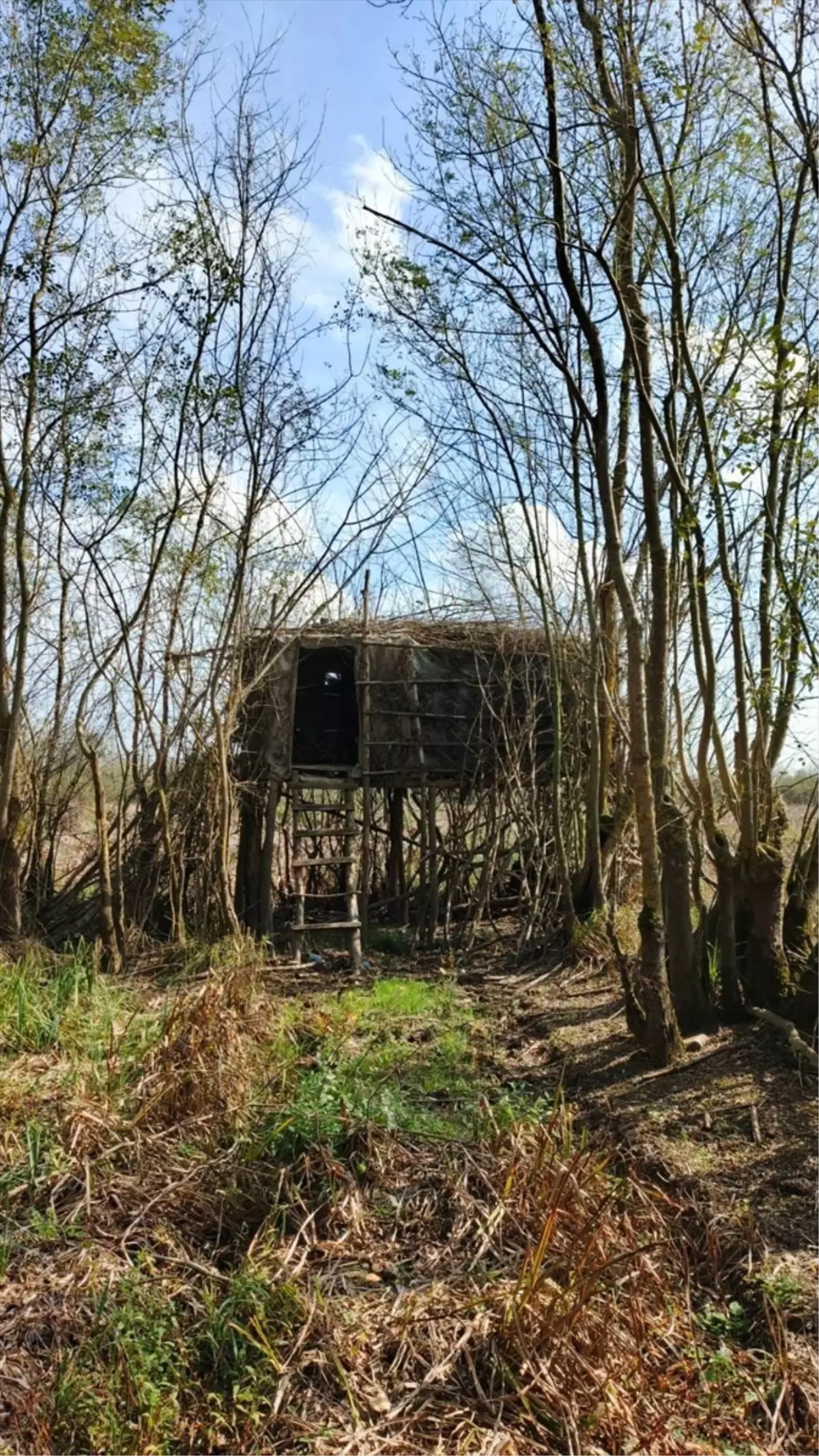 sakaryada kacak avciliga gecit yok 6 avci kulubesi imha edildi 6n7CWPAR.jpg