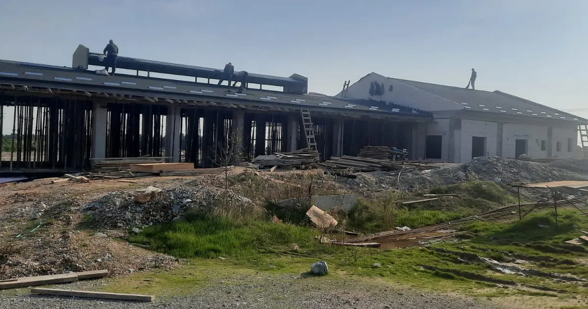 izmitten sokak hayvanlarina modern yasam alani pp9LlX9f.webp