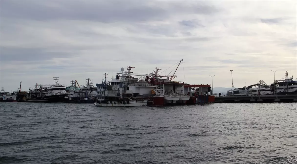 sinopta hamsi sezonu bereketli geciyor HtlTdl2J.jpg