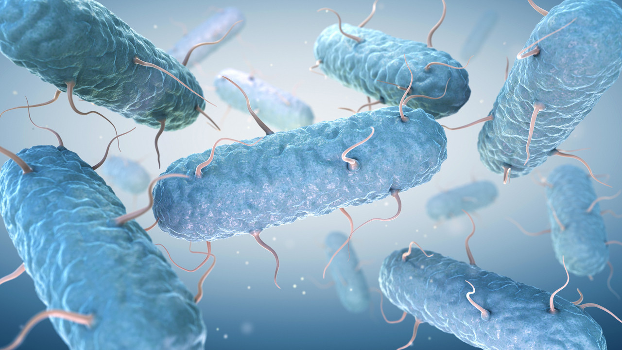 Kanserle savaşta bakteriyel savunma hattı: Laboratuvarda üretilen tümör avcıları