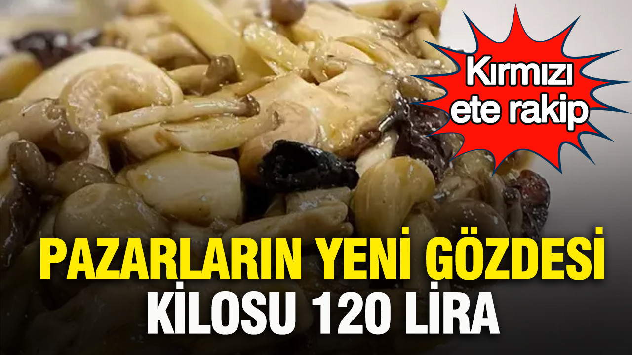 İstiridye Mantarı: Kırmızı Ete Sağlıklı ve Ekonomik Alternatif