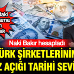 Naki bakir hesapladi turk sirketlerinin doviz acigi tarihi seviyede OKw6e6ME