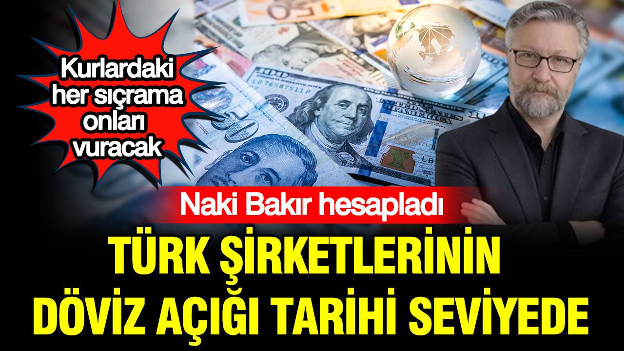 Naki bakir hesapladi turk sirketlerinin doviz acigi tarihi seviyede OKw6e6ME